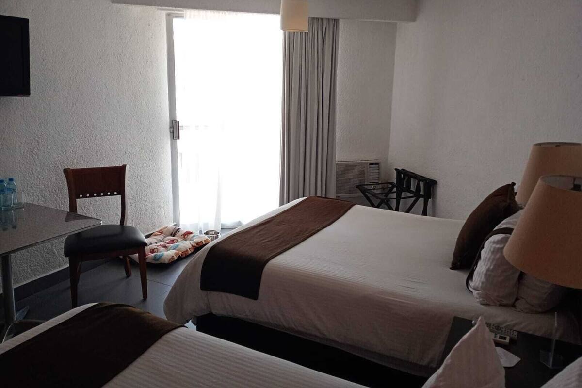 Room (Dog Friendly) | Premium bedding, down comforters, in-room safe, desk