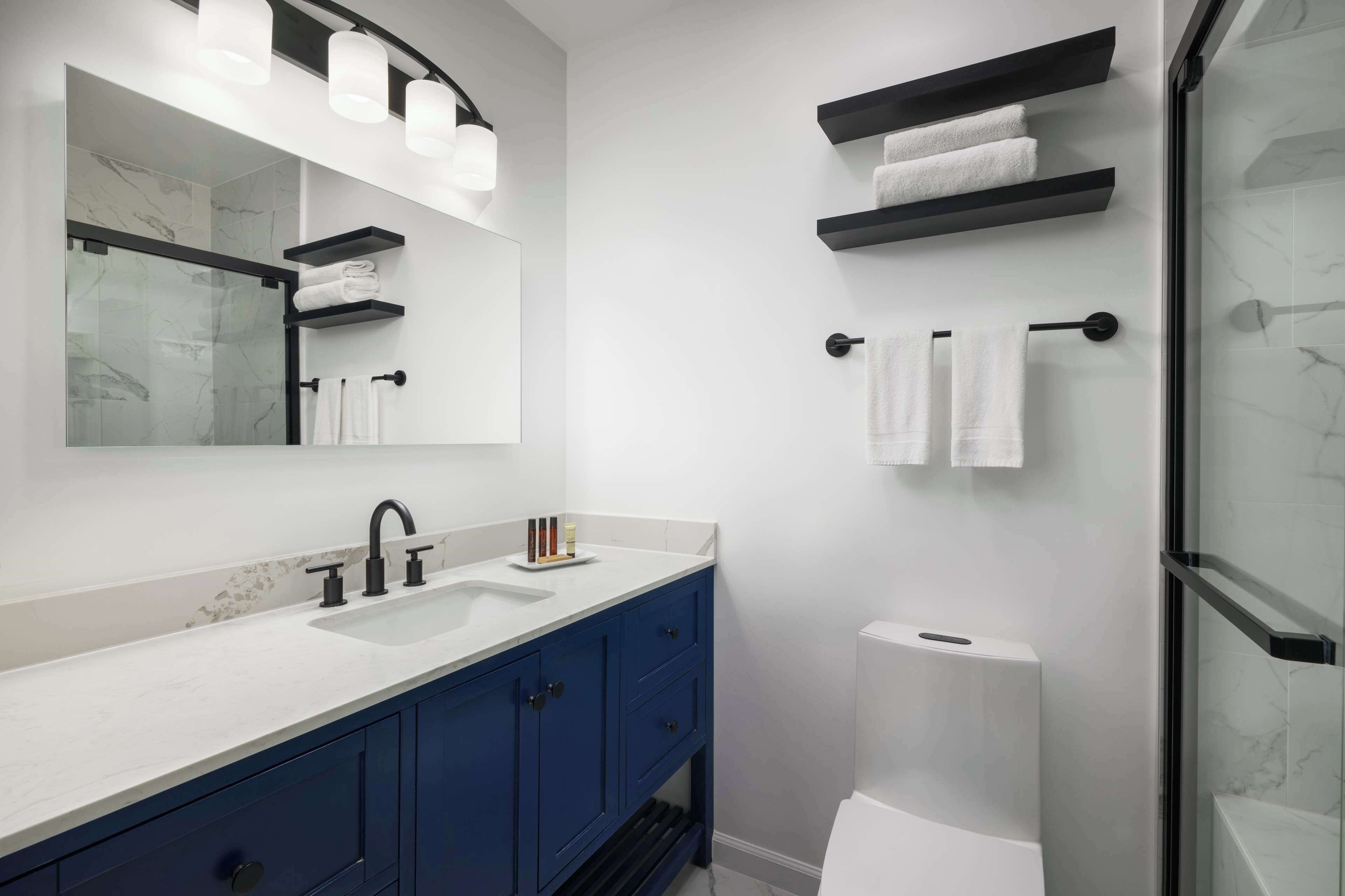 combined shower/bathtub, free toiletries, hair dryer, towels