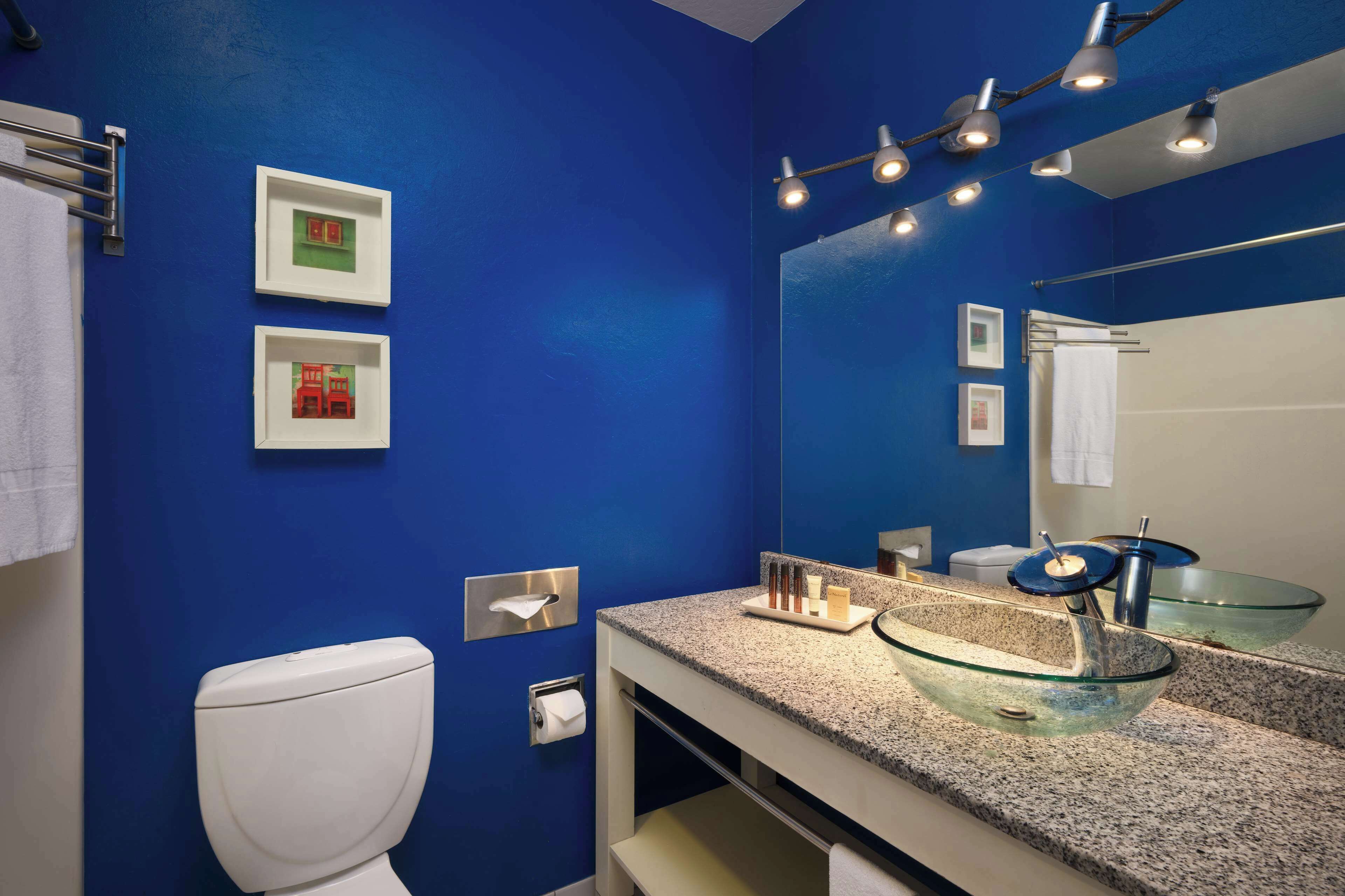 combined shower/bathtub, free toiletries, hair dryer, towels