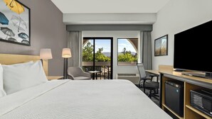 A hotel room with a bed, a desk, a television, and a view of the outdoors.