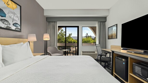 A hotel room with a bed, a desk, a television, and a view of the outdoors.