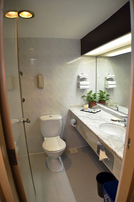 Hotel Grand Pacific - Image 10