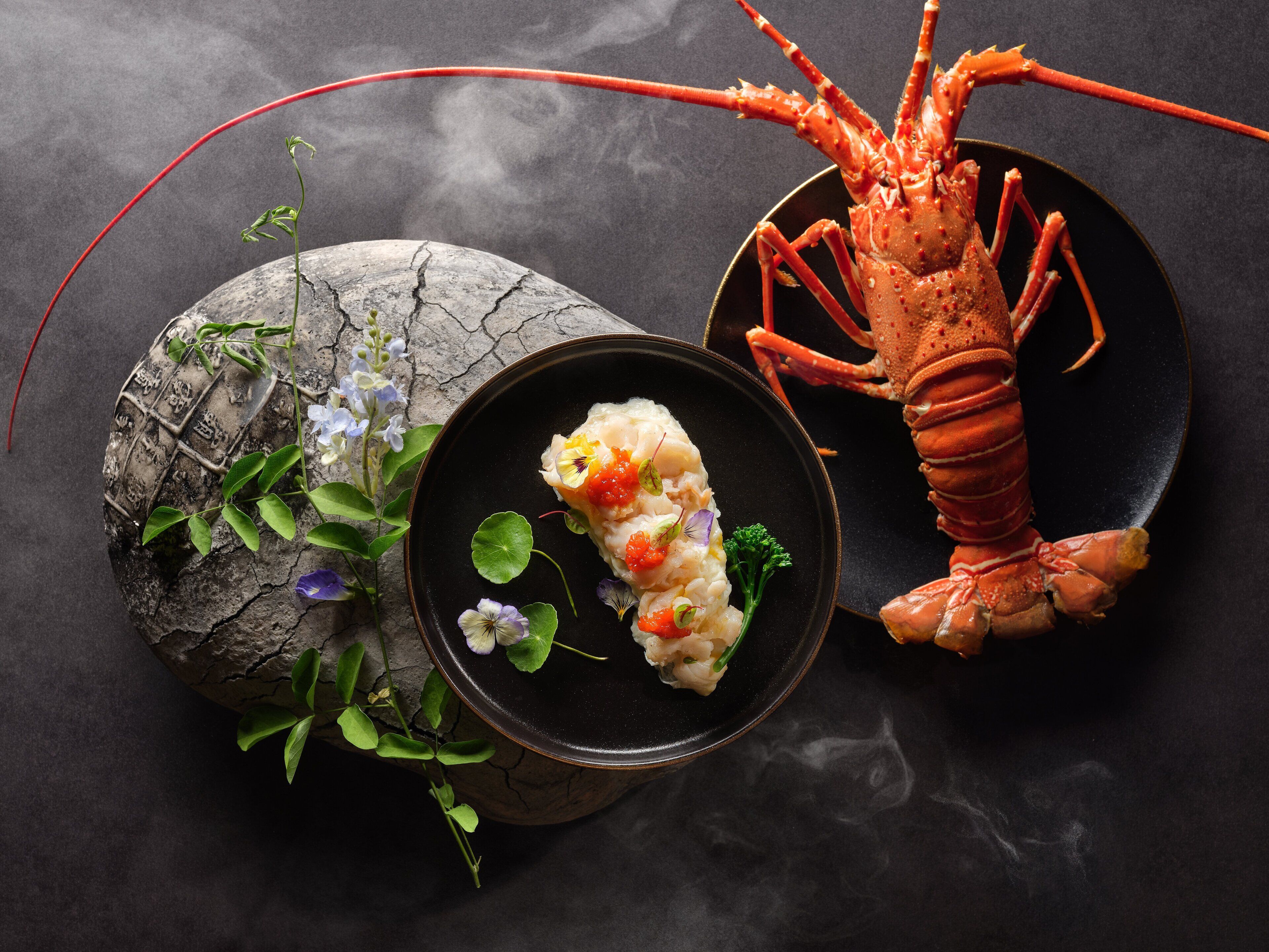 A lobster on a plate, a bowl of food, and a rock with plants.