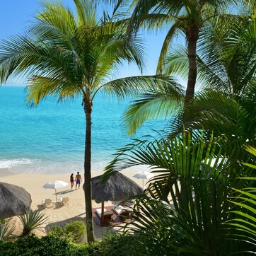 A beach with palm trees, a couple walking, and beach umbrellas.