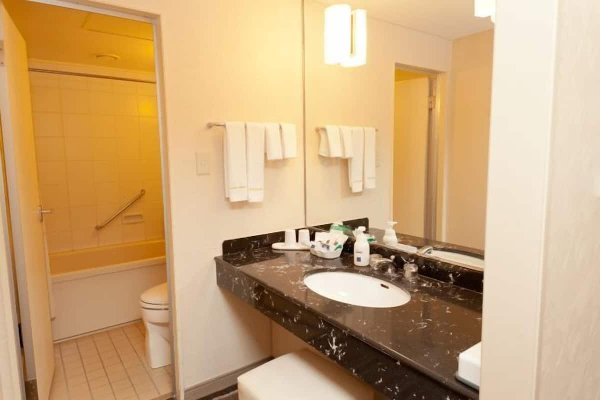 Combined shower/tub, deep soaking tub, free toiletries, hair dryer