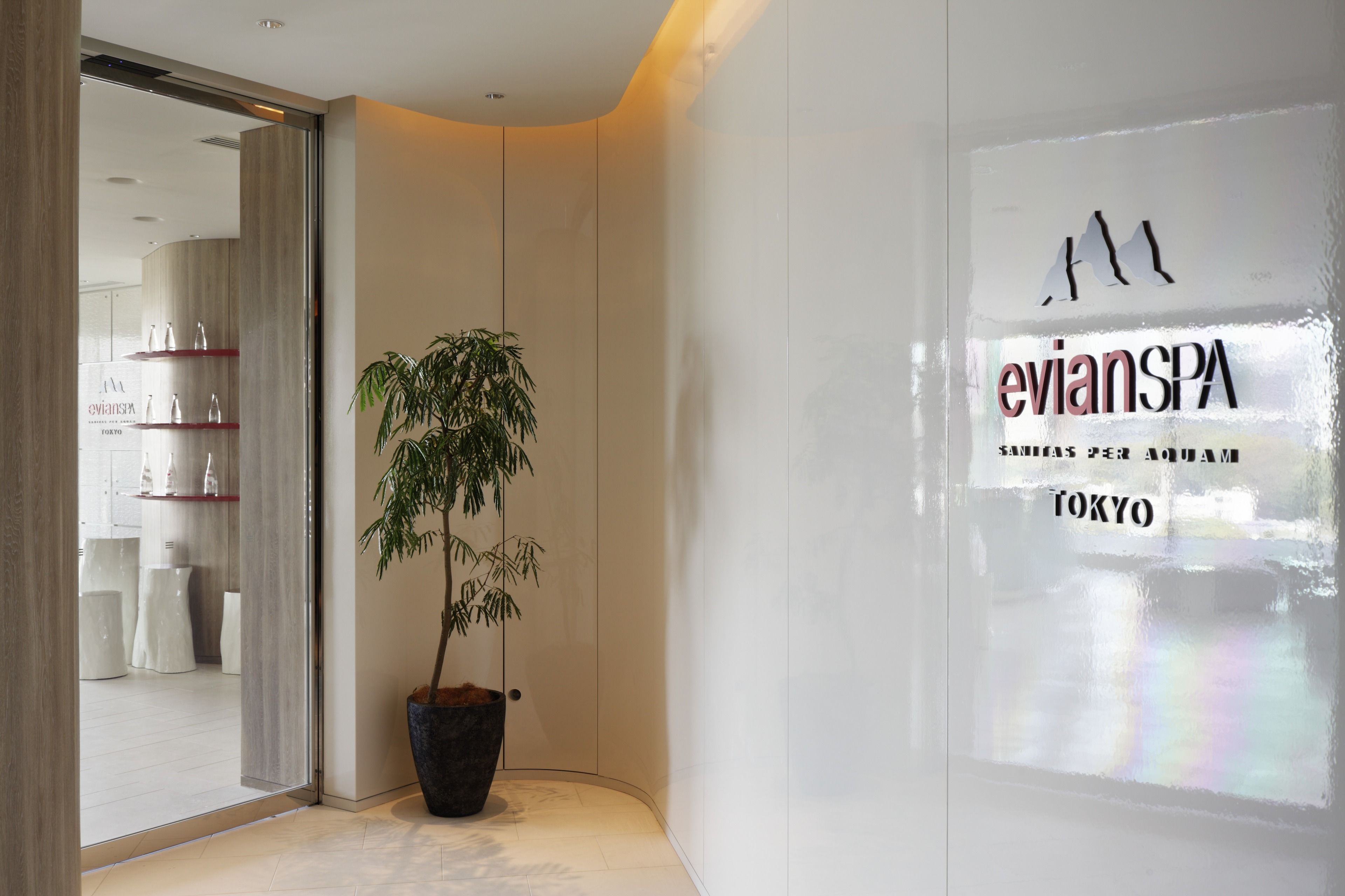 A modern spa interior with a potted plant, a glass wall with the 'evianspa' logo, and a glimpse of a bathroom area with white furnishings.