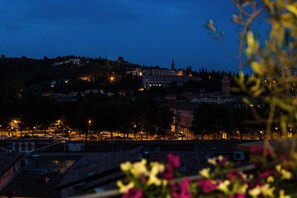 Vista desde la propiedad