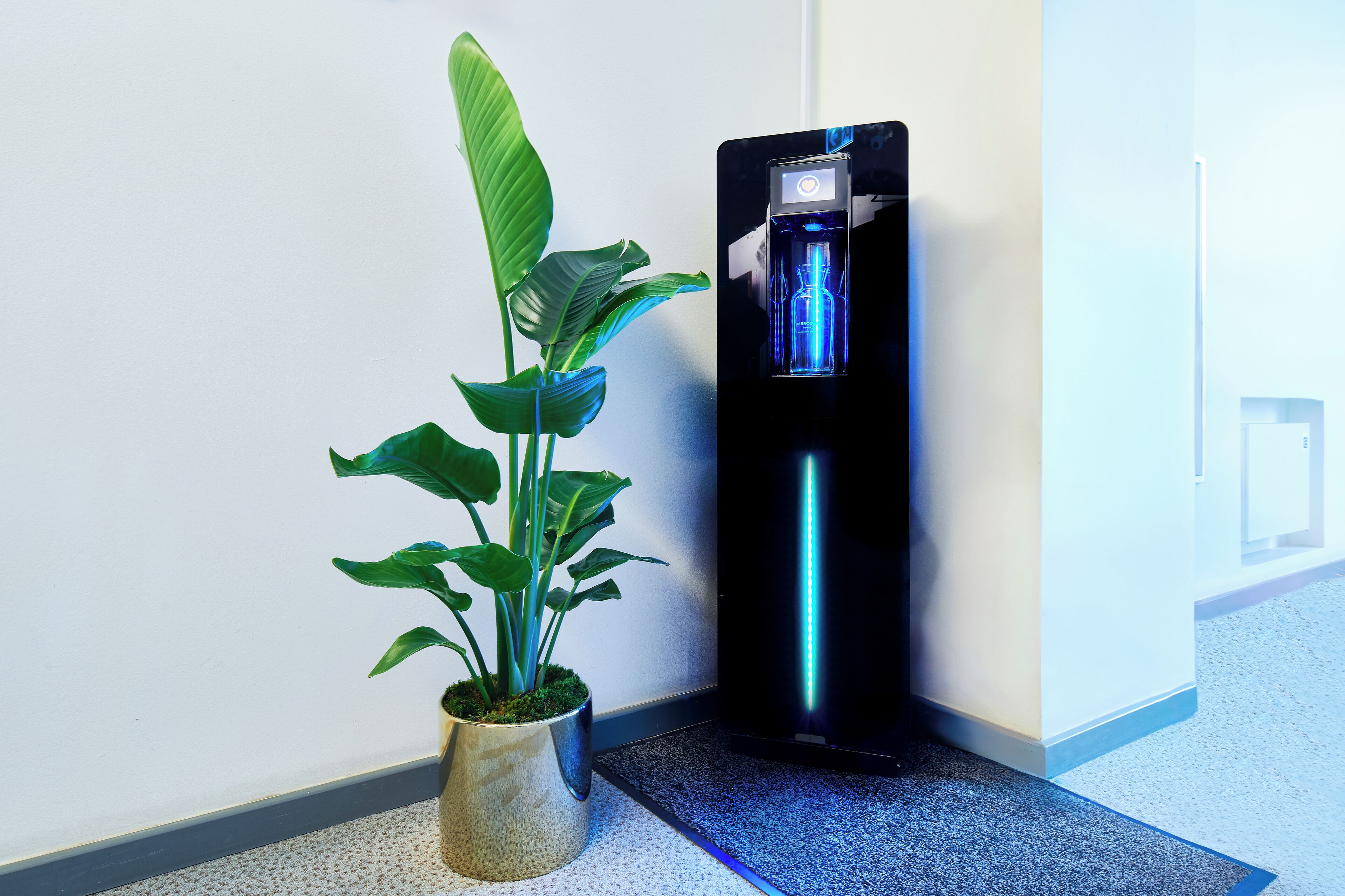 A potted plant next to a black water dispenser with a blue light.
