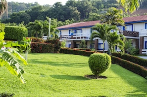 Standard Room, Garden View | Garden view