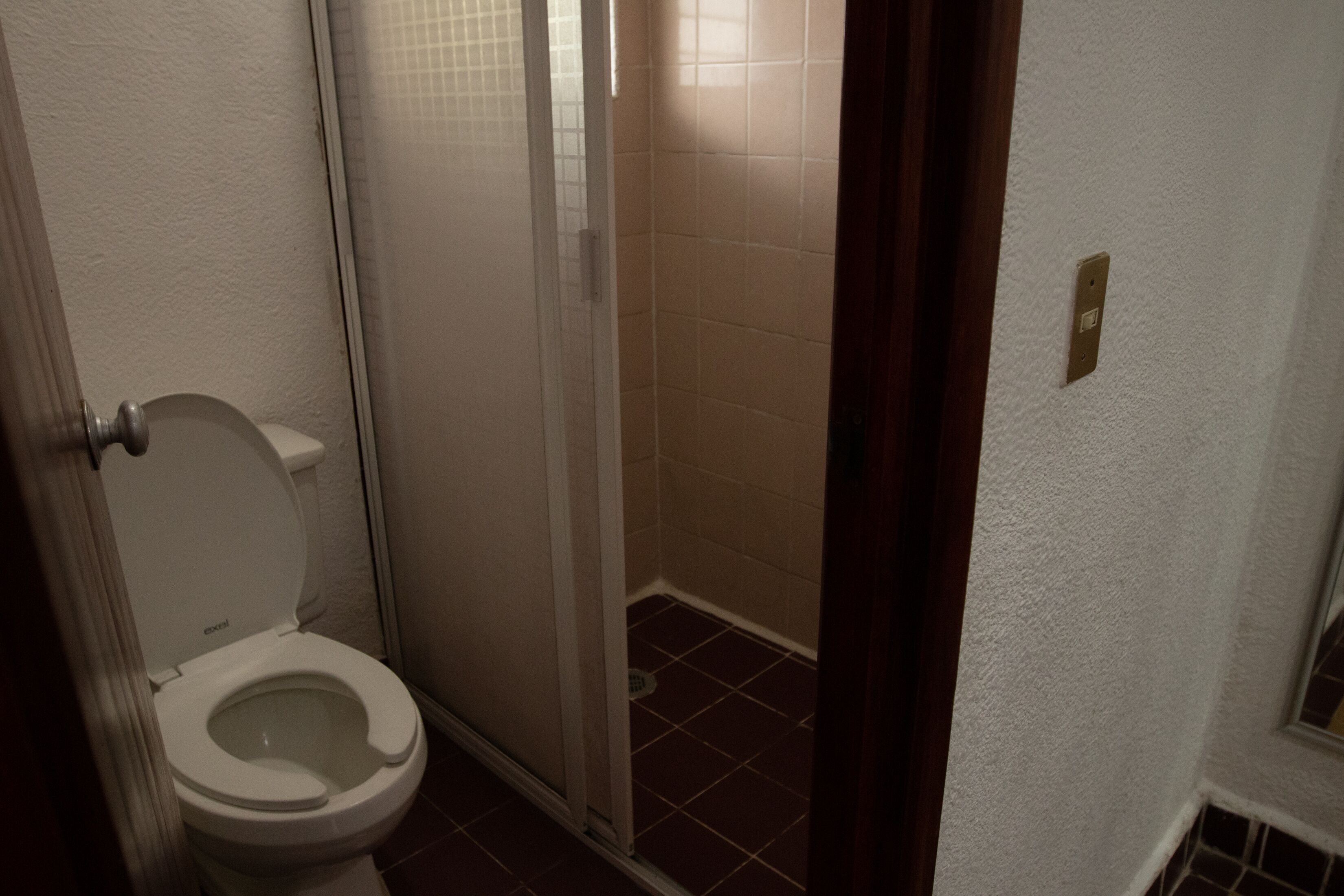 A small bathroom with a toilet, a shower, and a white wall.