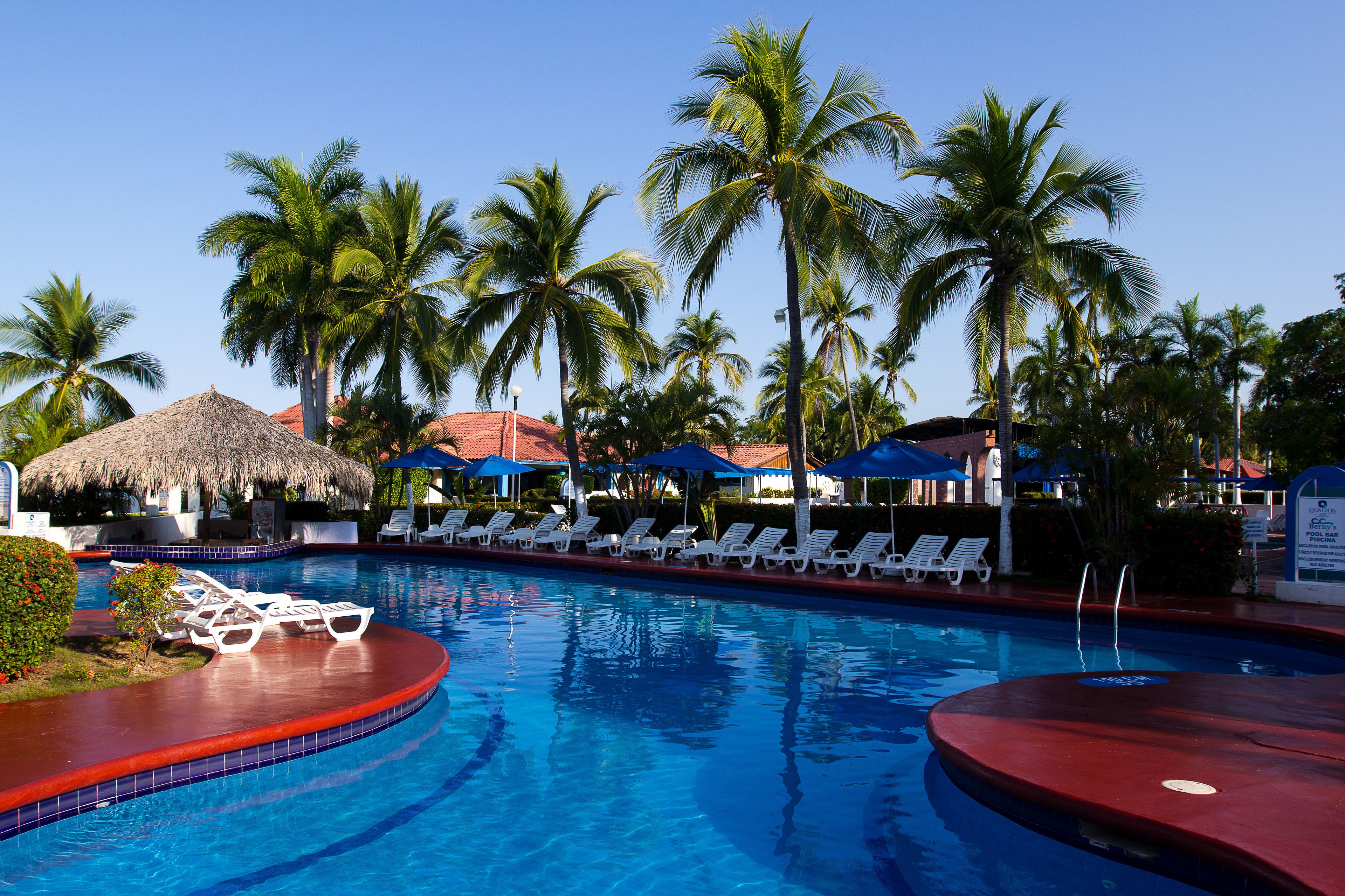 A swimming pool with lounge chairs and palm trees.