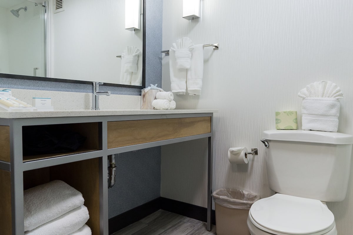 Shower, free toiletries, hair dryer, towels