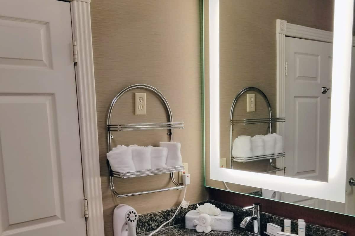 suite, 1 king bed, accessible, non smoking (roll-in shower) | bathroom sink