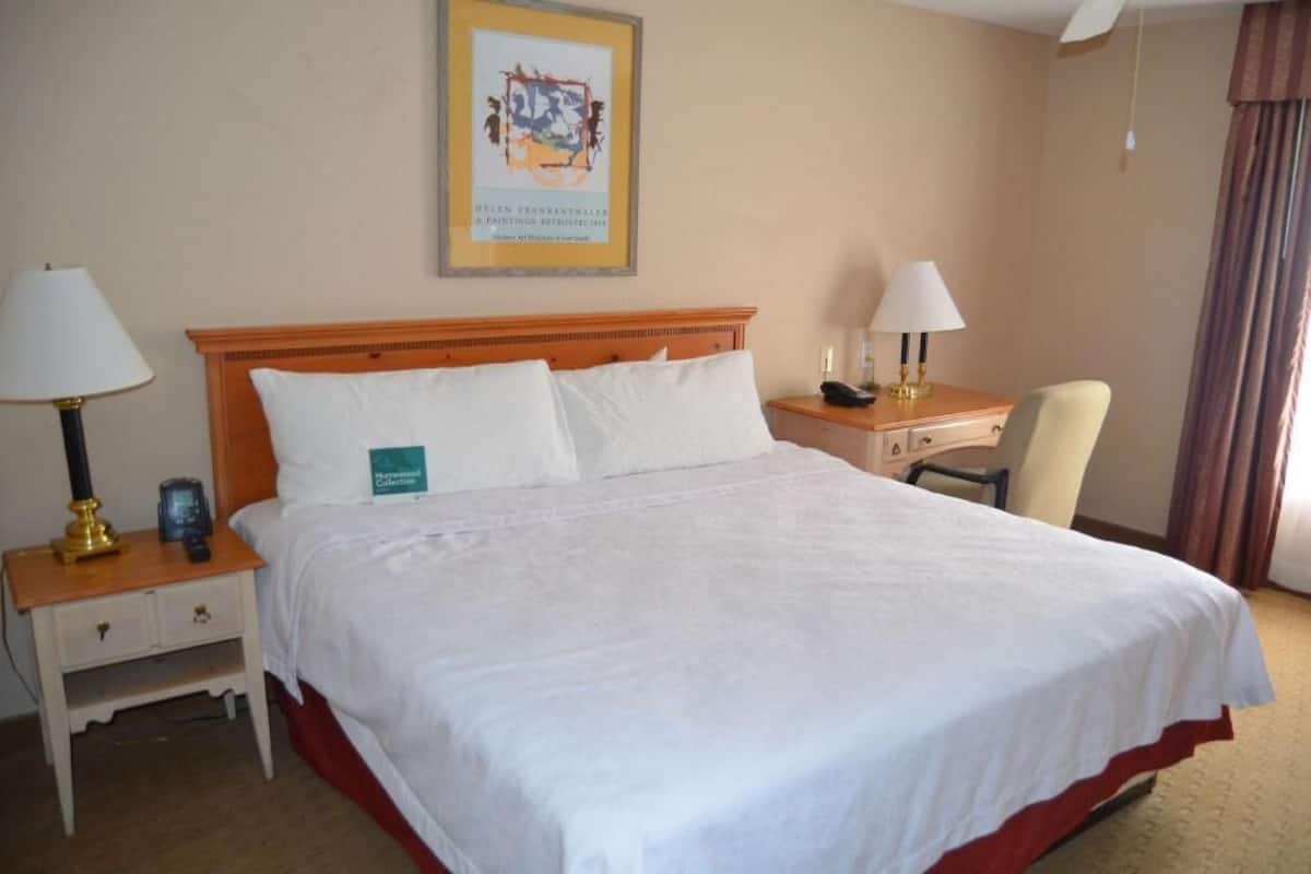 Habitación de hotel con una cama grande, dos mesitas de noche, una silla, un escritorio y un cuadro enmarcado en la pared.