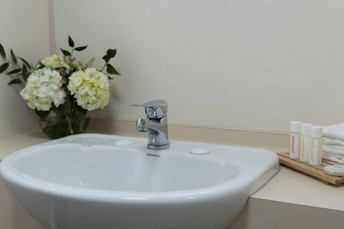 Shower, free toiletries, hair dryer, towels