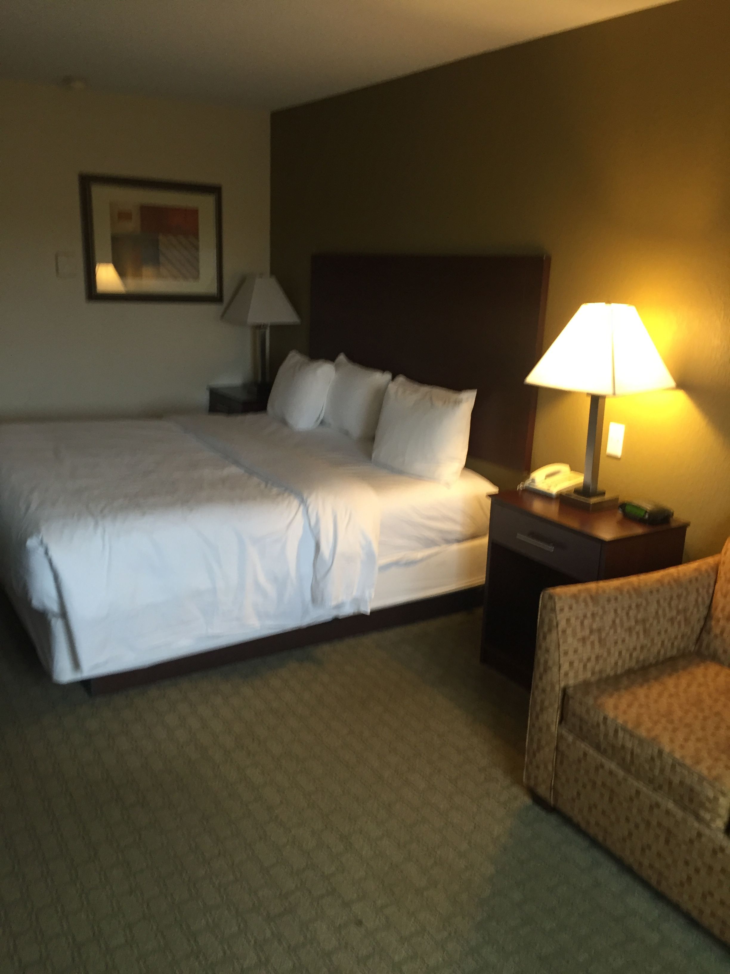 A hotel room with a large bed, a nightstand with a lamp, a chair, and a framed picture on the wall.