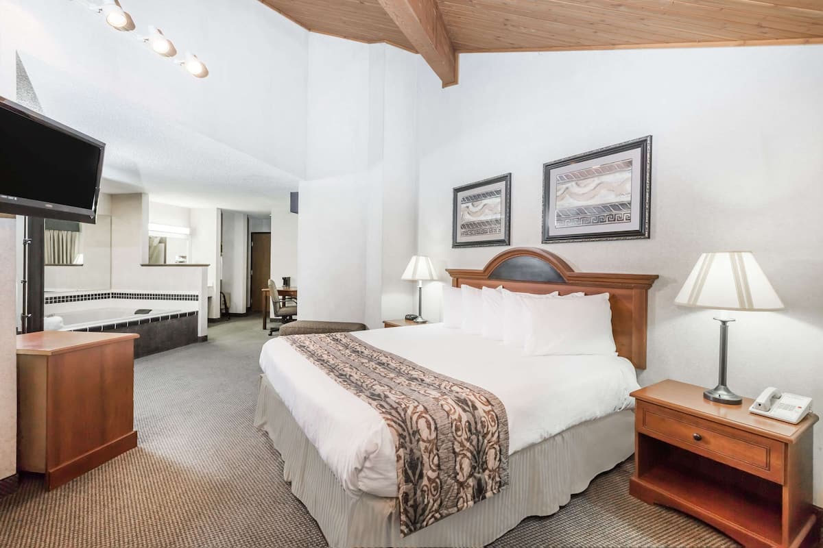 Superior Studio Suite, 1 King Bed, Non Smoking | In-room safe, desk, iron/ironing board, free cribs/infant beds