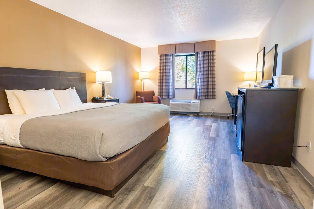 Standard Room, 1 King Bed, Non Smoking | Laptop workspace, iron/ironing board, WiFi (free), alarm clocks