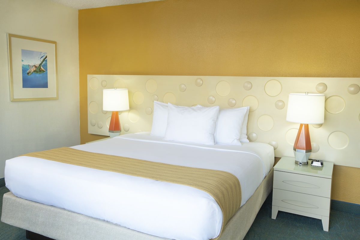 Chambre Standard, 1 trĂšs grand lit, vue ville