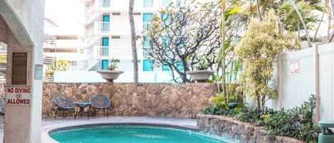 A swimming pool with a stone wall, a 'No Diving Allowed' sign, and a palm tree.
