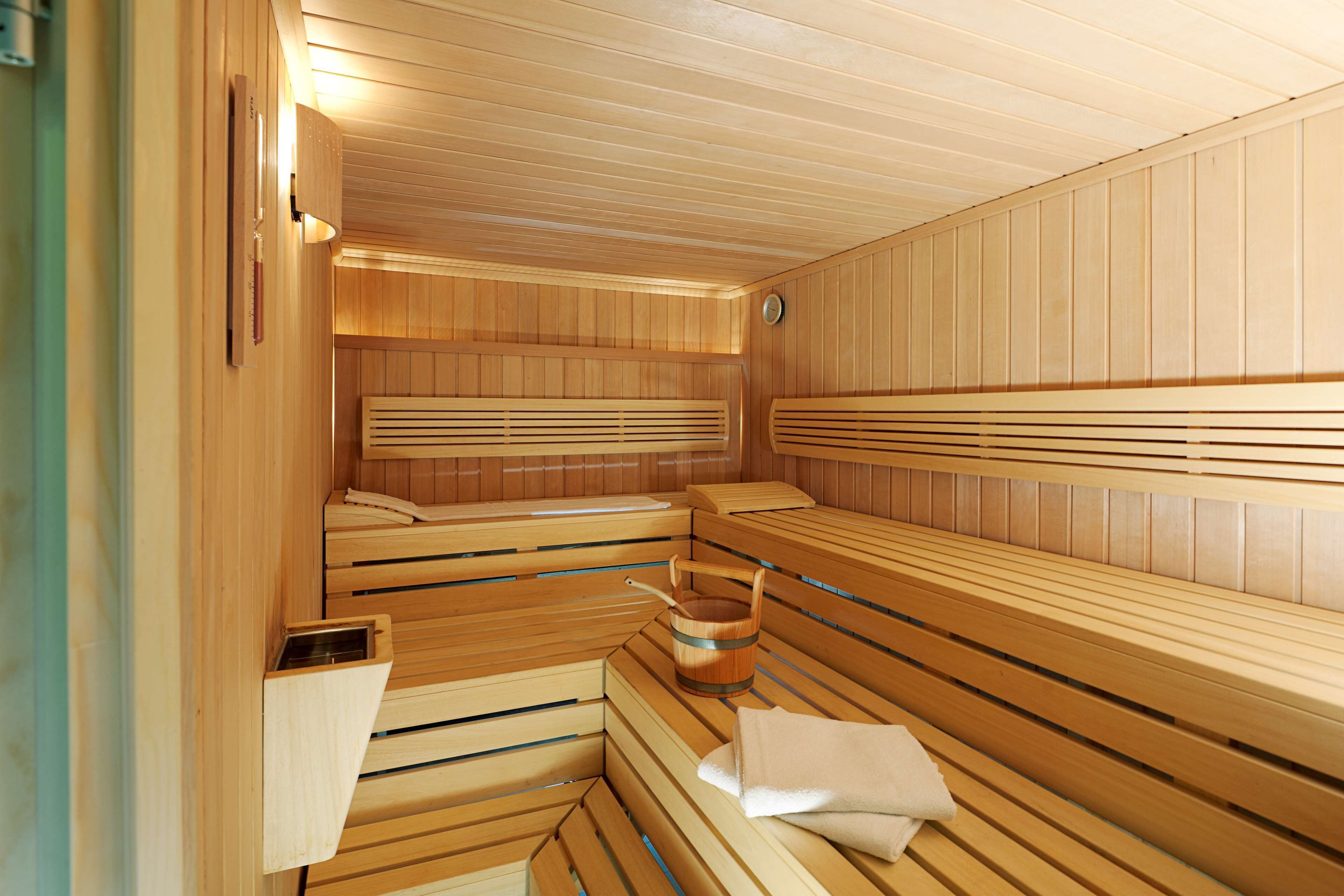 sauna, steam room