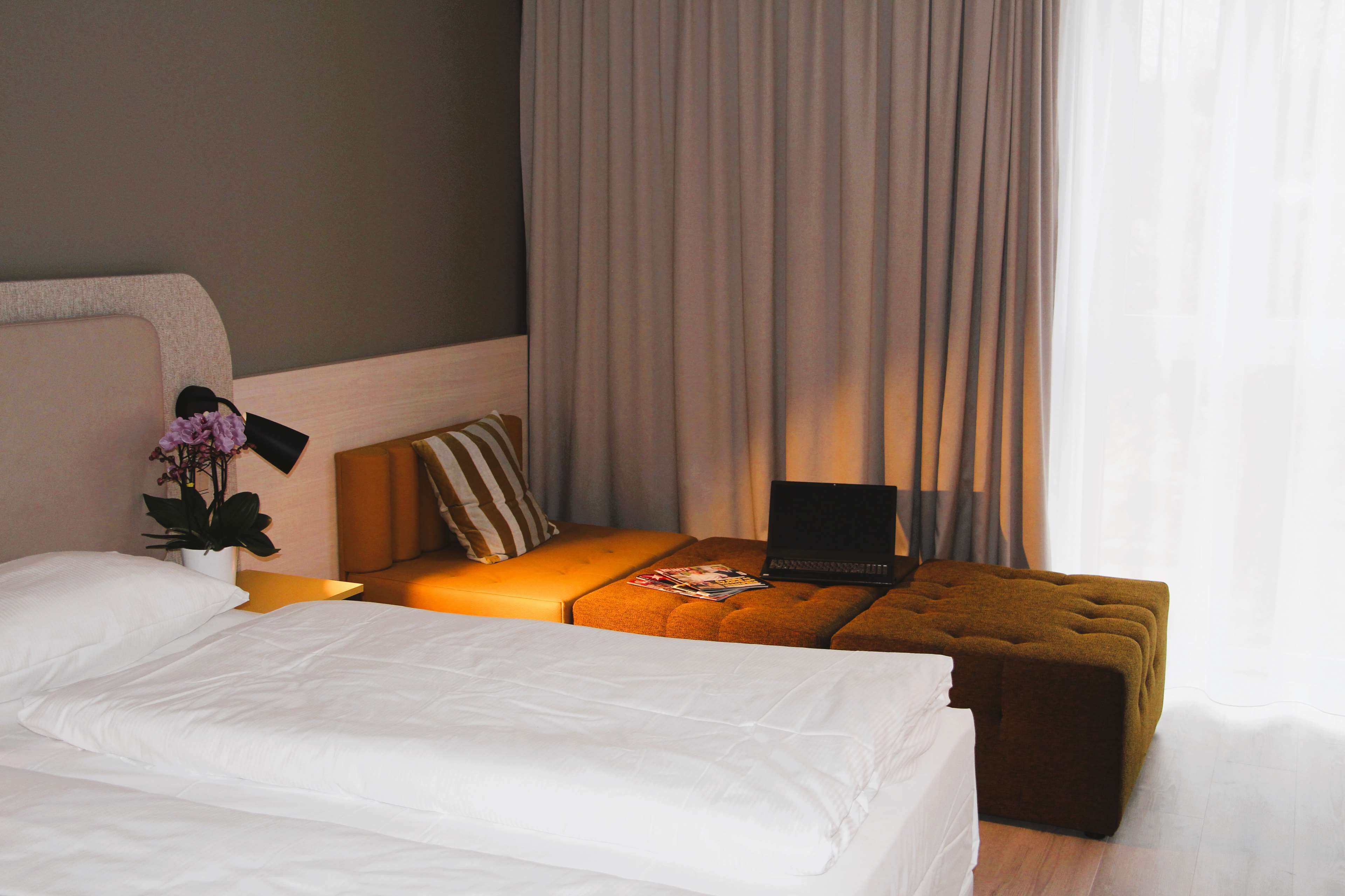 Una habitación de hotel con una cama, una mesita con una computadora portátil, una planta en maceta y un sofá.