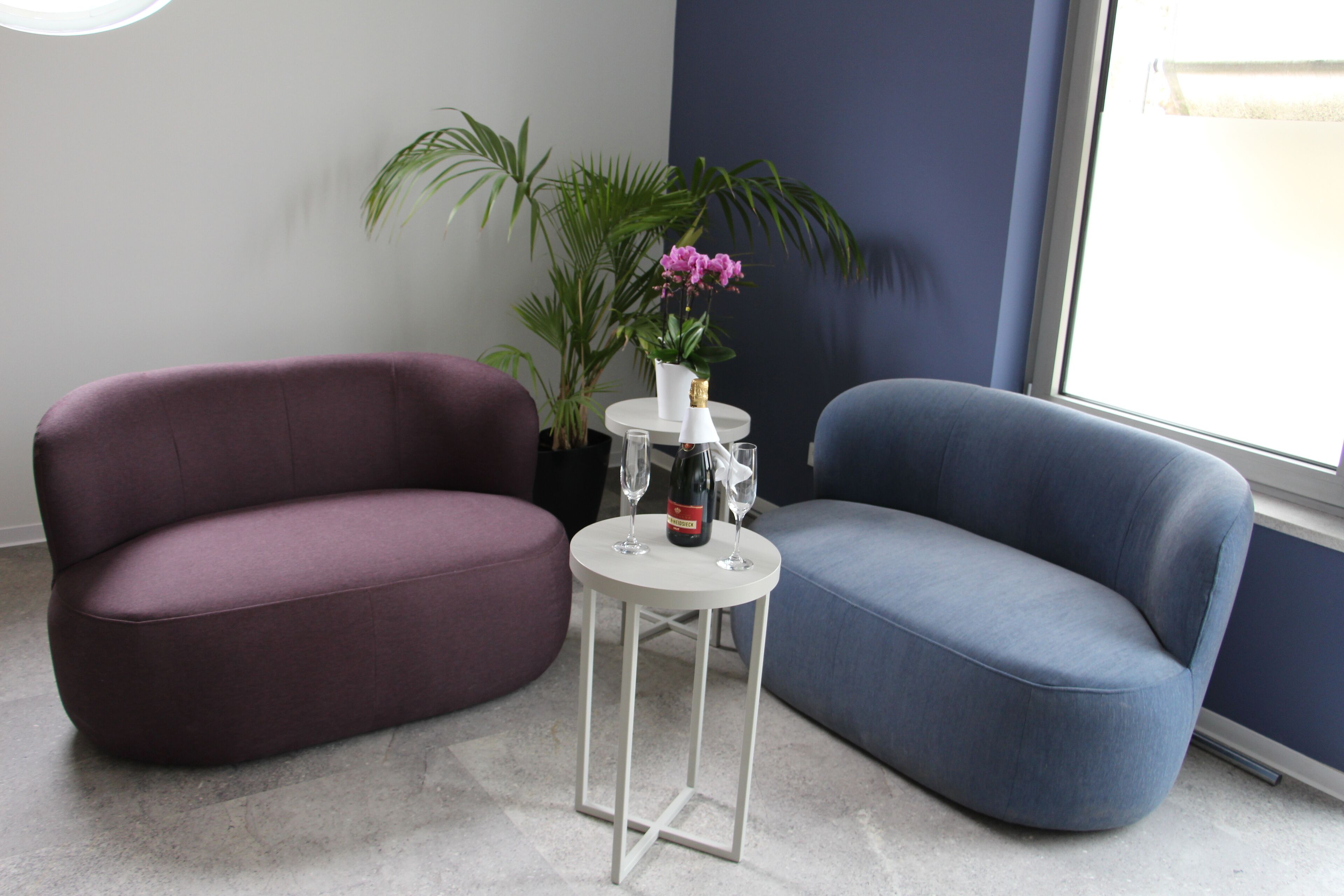 A room with a purple and a blue sofa, a small white table with a vase of flowers, and a potted plant.