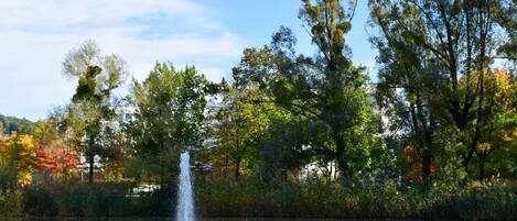 A serene lake with a fountain in the center, surrounded by lush trees and a clear sky.