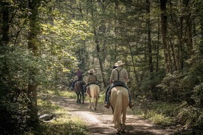 Horseback riding