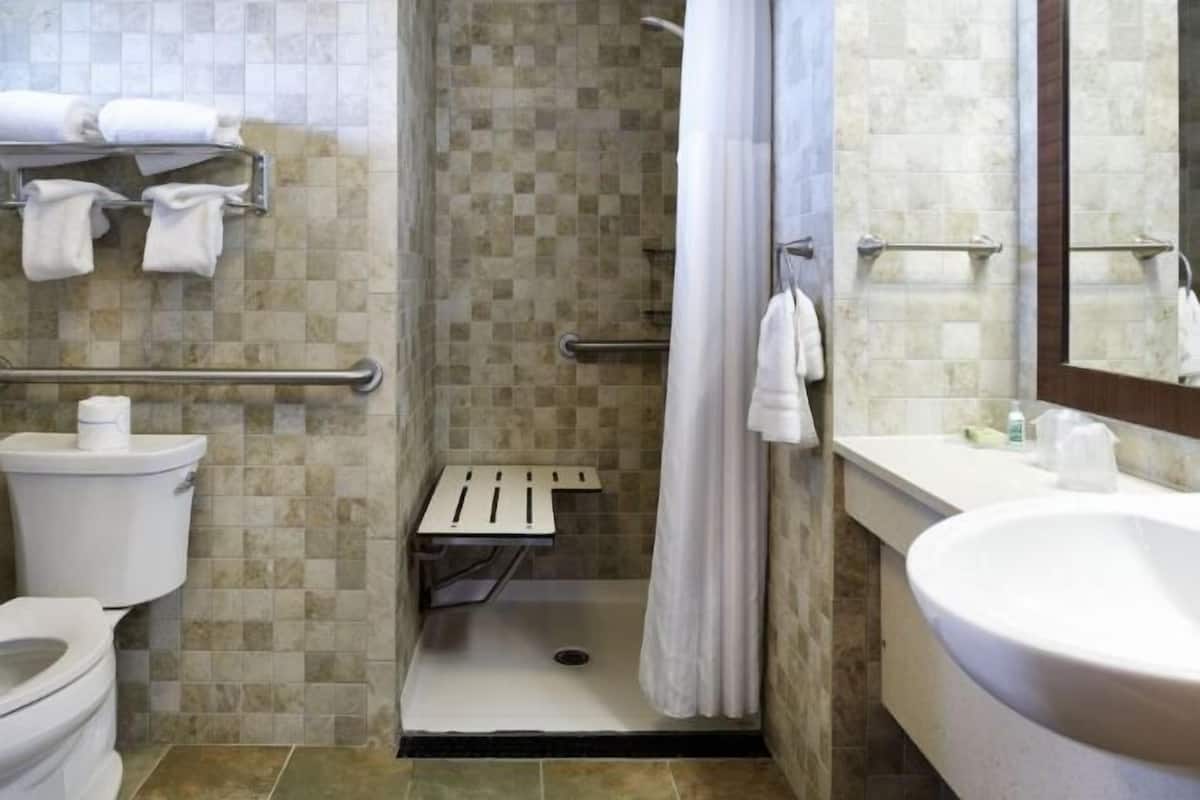 Bañera con ducha, artículos de tocador gratuitos, secador de pelo