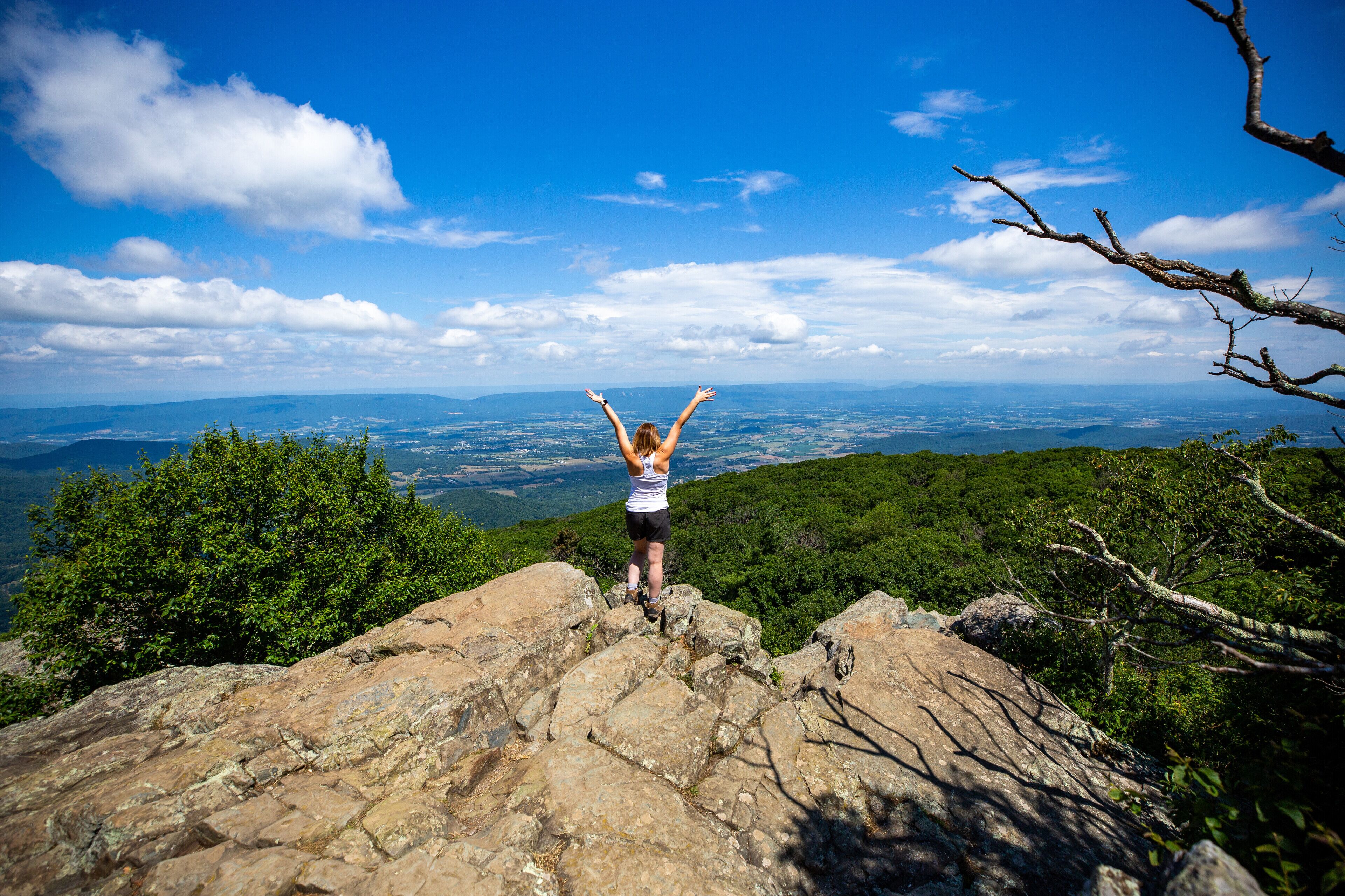 A person standing on a rocky outcrop with arms raised, overlooking a vast landscape with dense greenery and distant mountains under a clear sky.