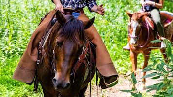 A person riding a horse on a dirt path surrounded by greenery.