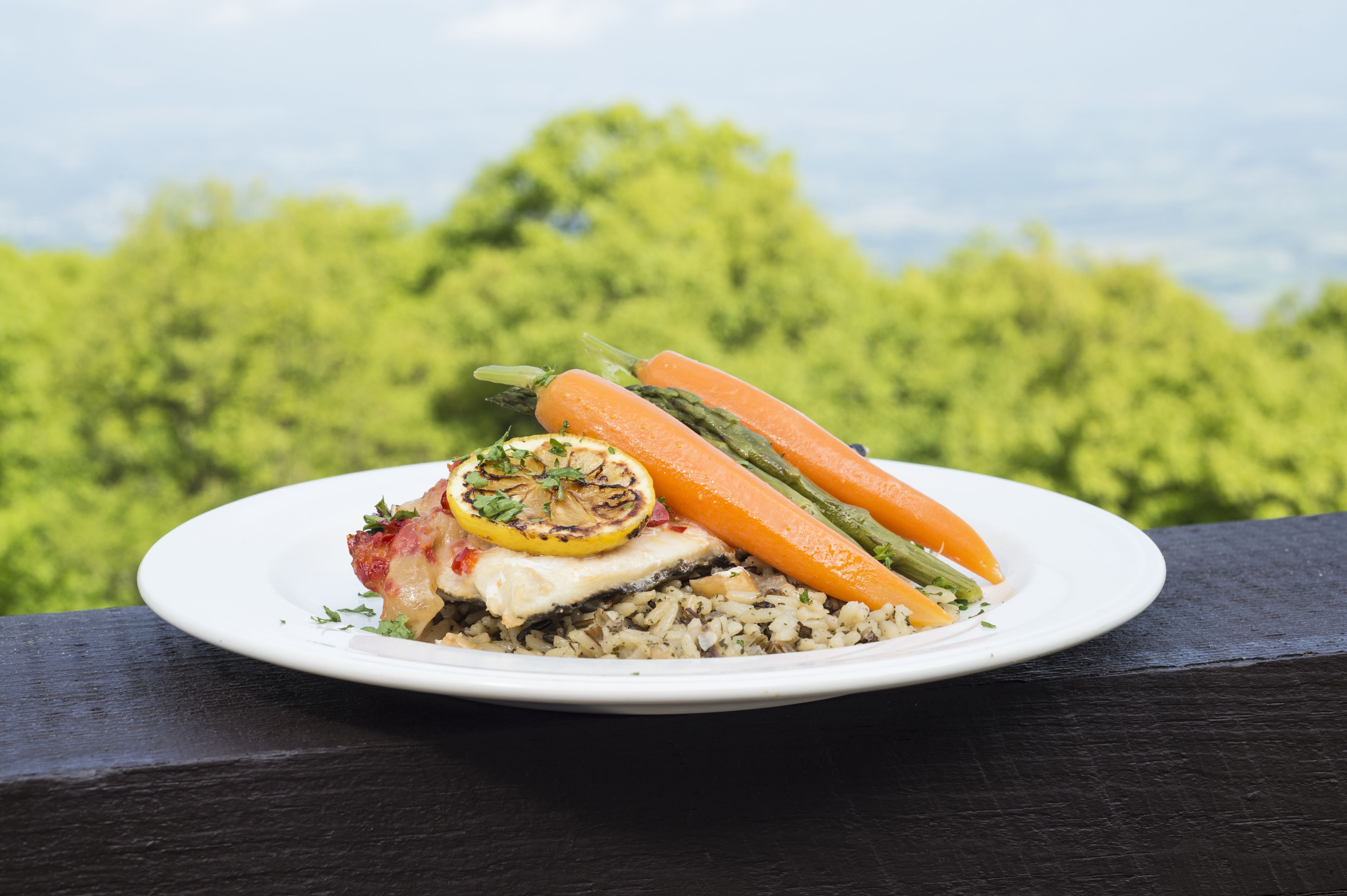 A plate of food with vegetables and rice on a table with a view of trees.