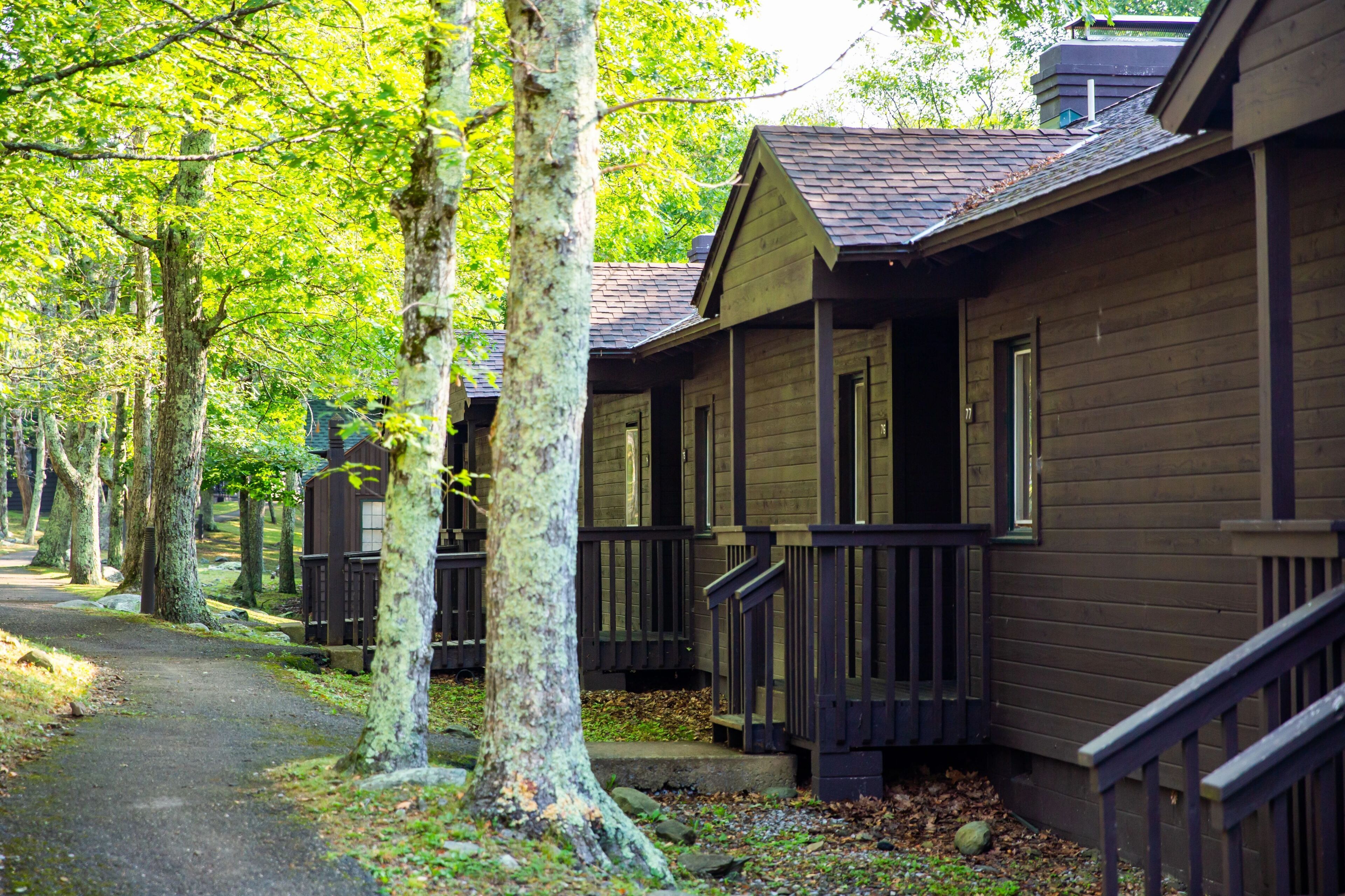 A row of wooden cabins with dark brown exteriors, wooden railings, and a pathway leading through a wooded area.