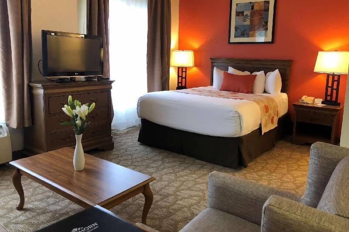 A hotel room with a bed, a TV, a desk, a chair, and a lamp.