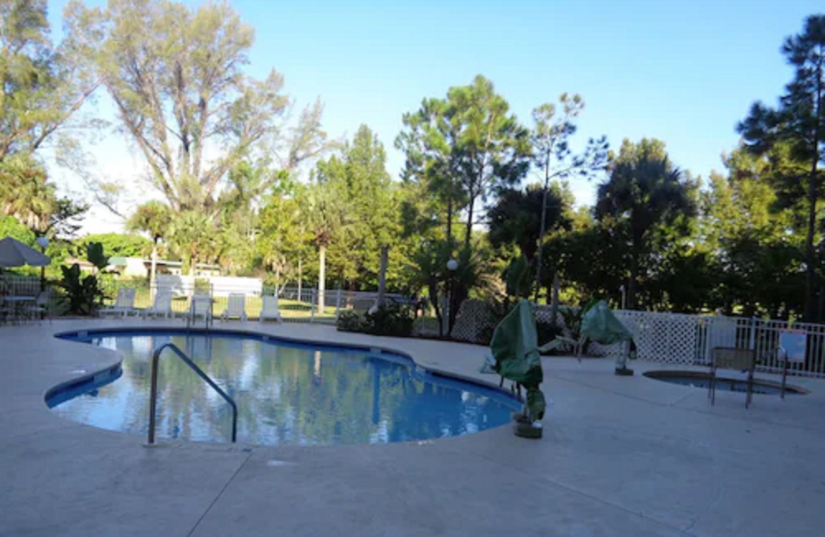 A swimming pool with a curved edge, surrounded by a fence and trees.