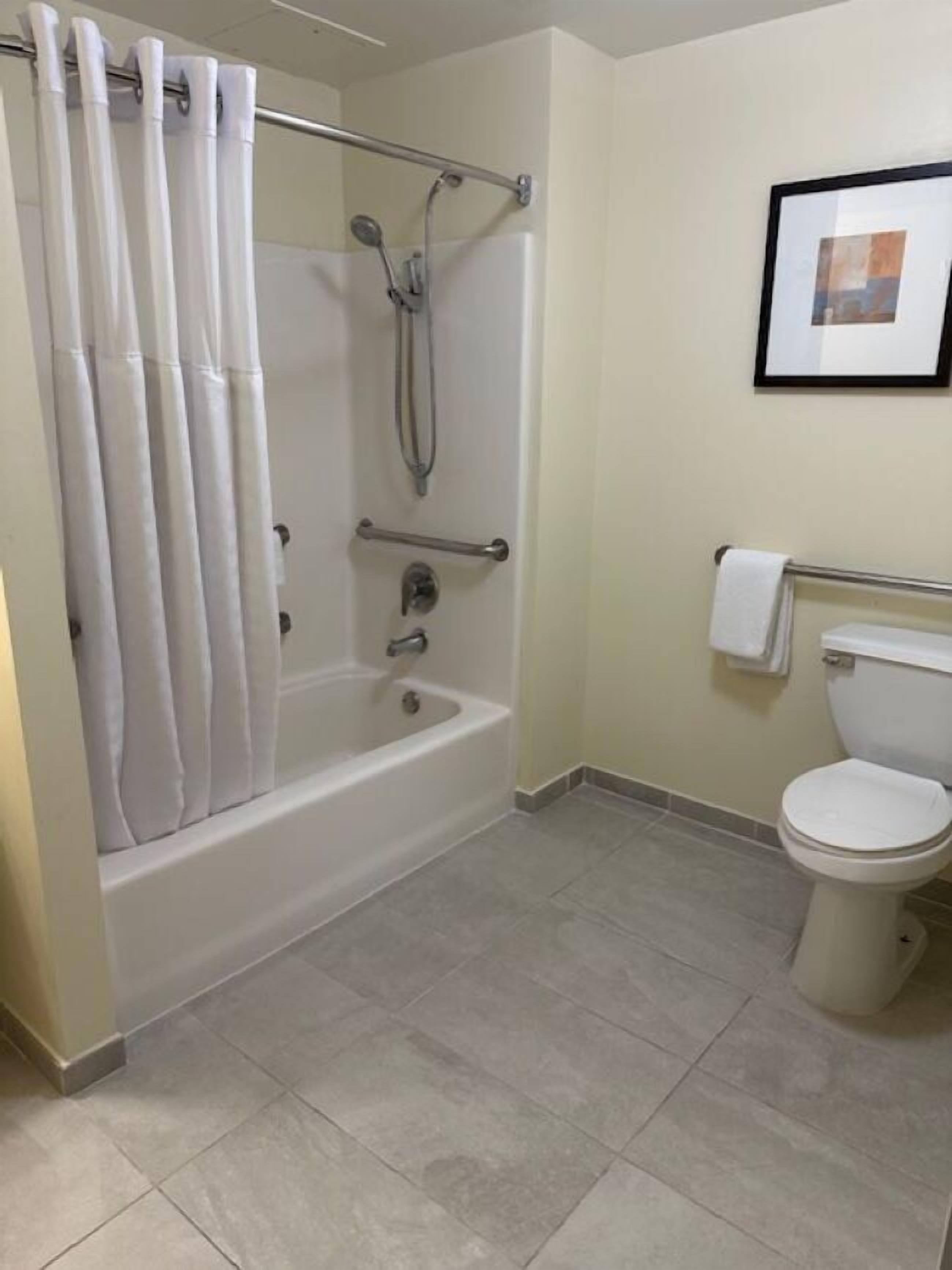 A bathroom with a bathtub, shower, toilet, and a framed picture on the wall.
