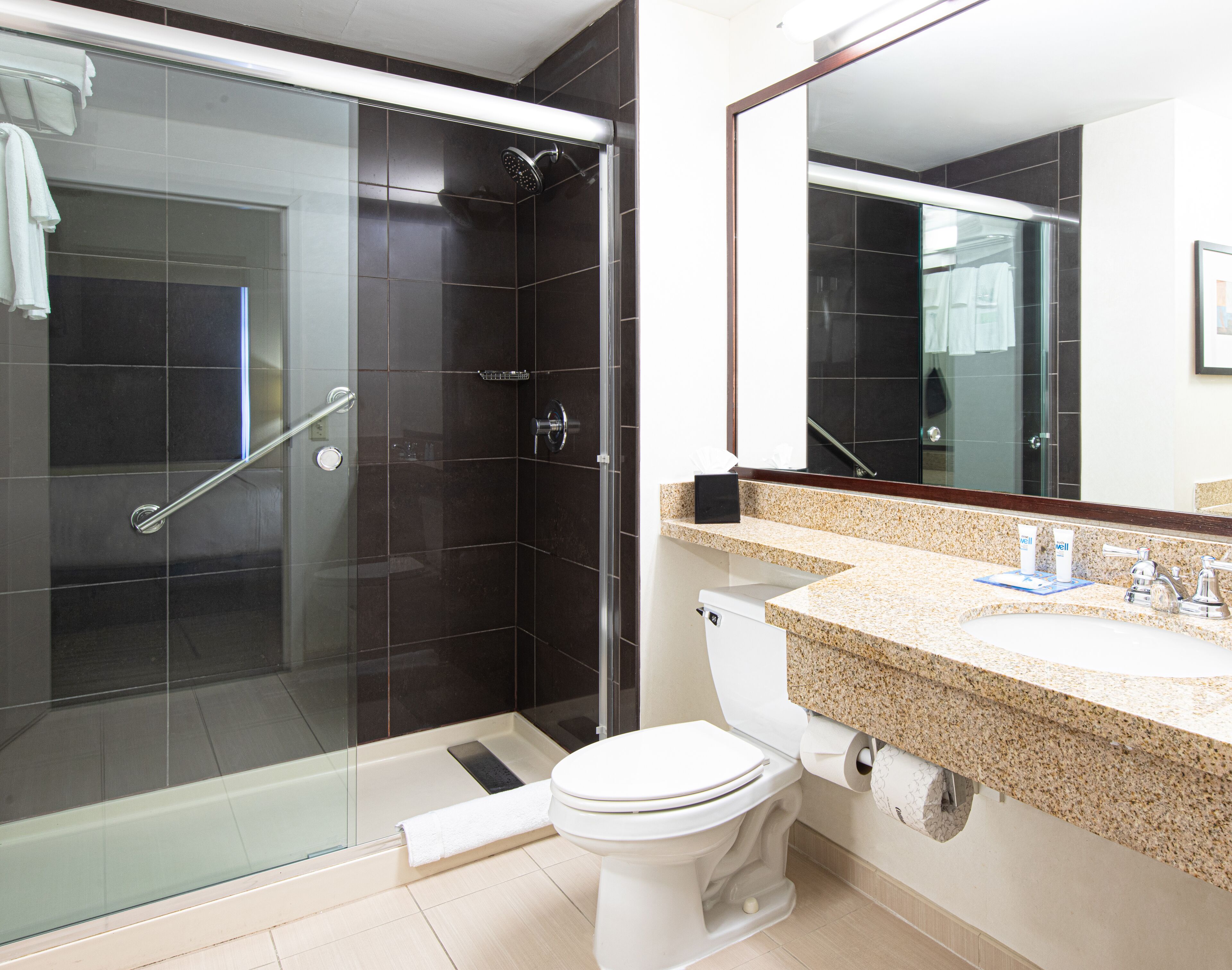 Un baño con cabina de ducha de vidrio, inodoro blanco y encimera de granito con espejo.