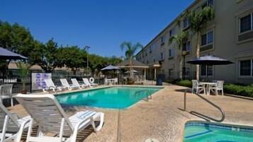 Relax by the pool surrounded by palm trees and lounge chairs.