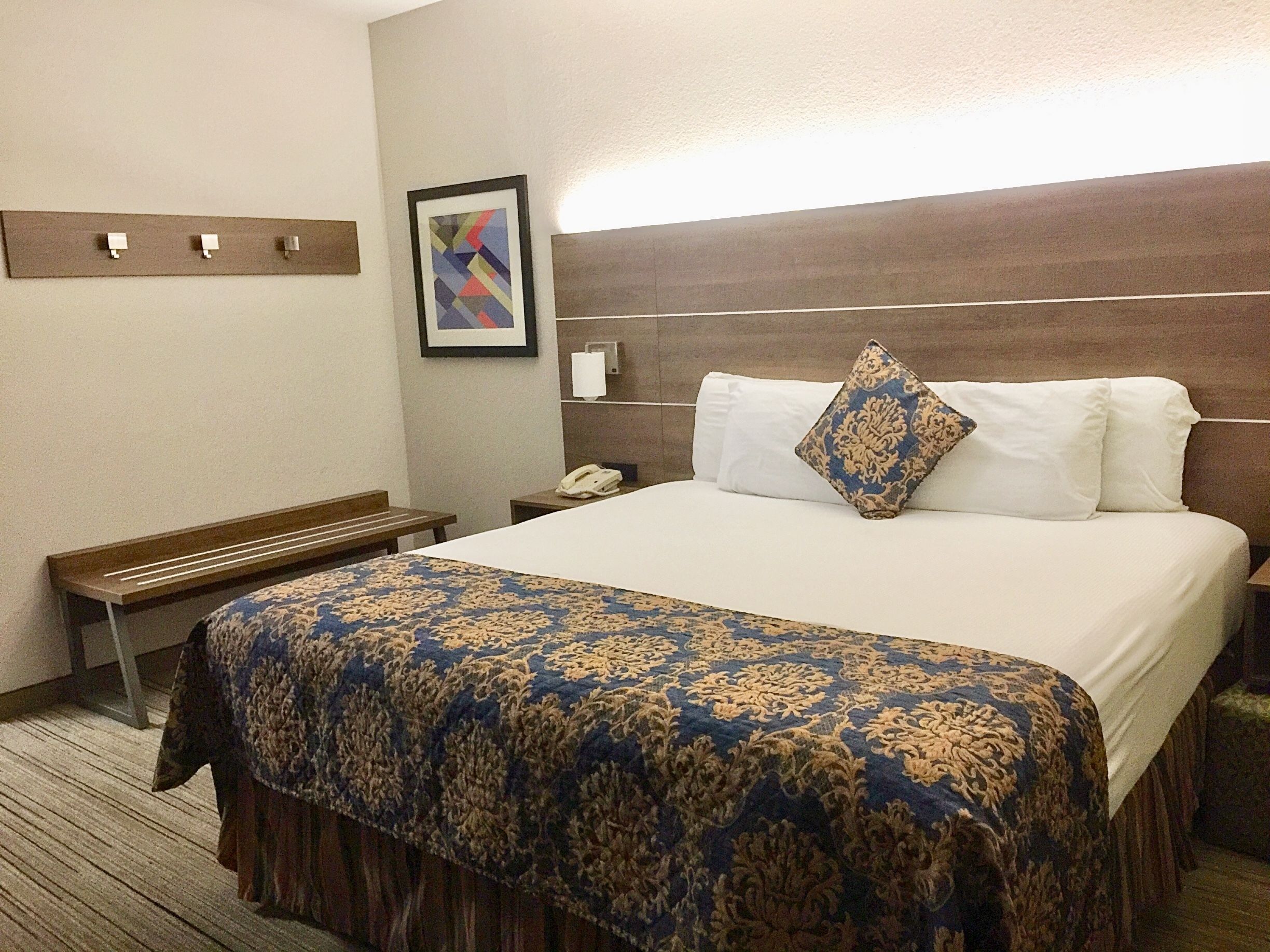 A hotel room with a large bed, a bench, a bedside table with a phone, and a wall-mounted light fixture.