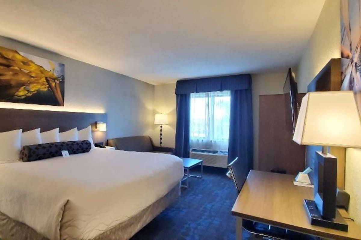 Premium bedding, in-room safe, desk, blackout curtains