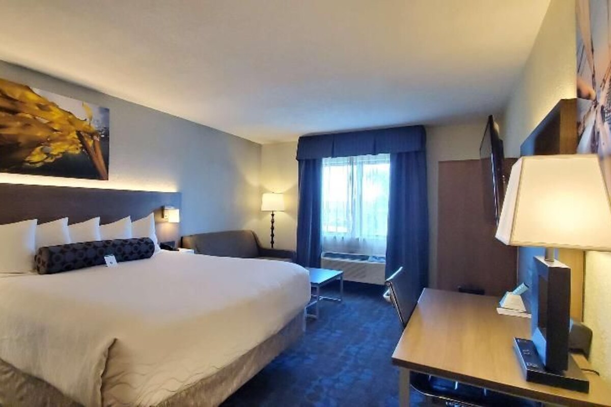 Premium bedding, in-room safe, desk, blackout curtains