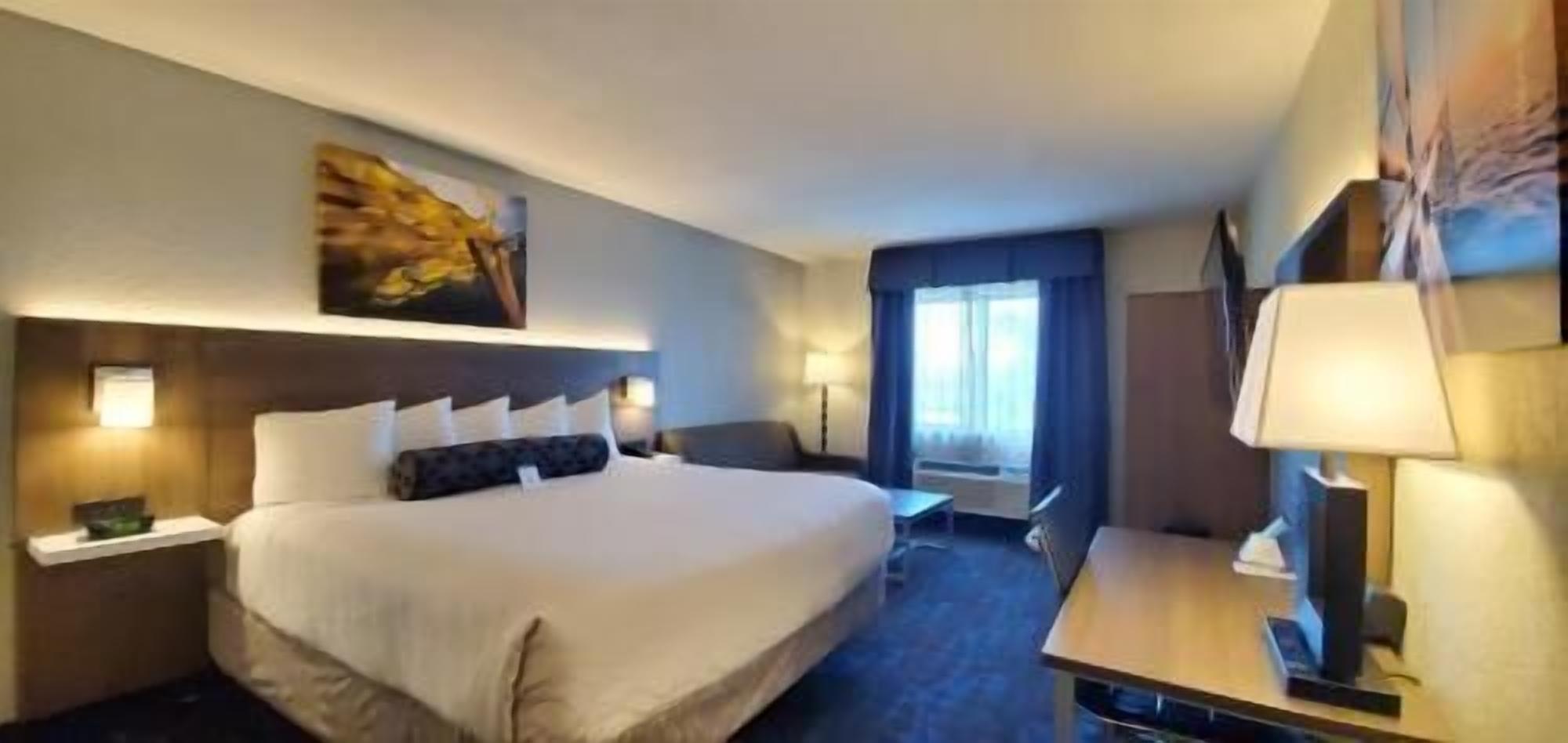 Premium bedding, in-room safe, desk, blackout curtains