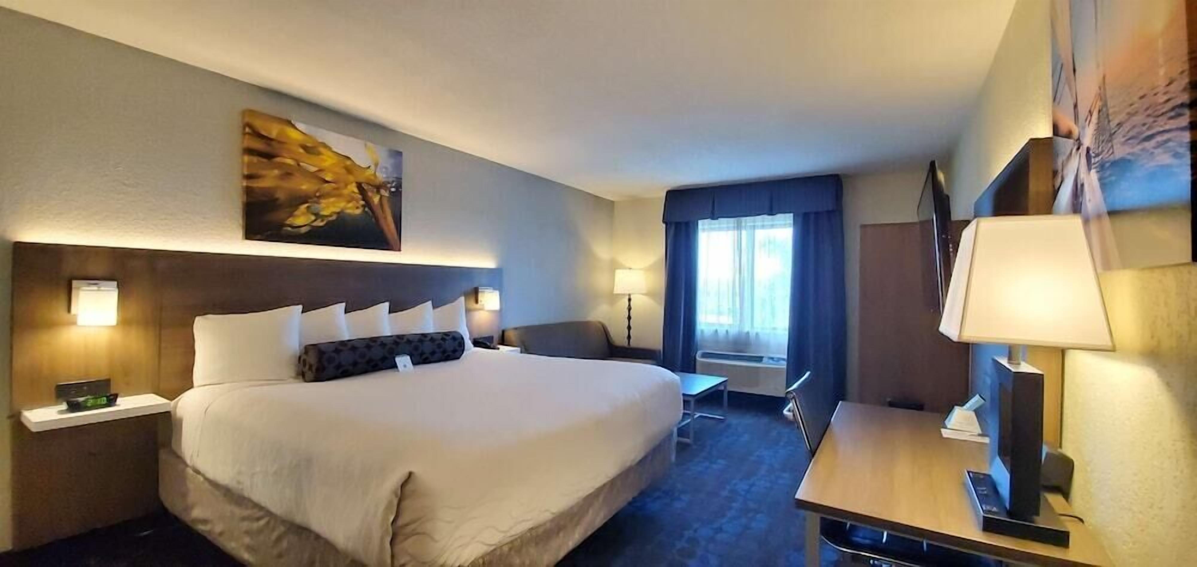 Premium bedding, in-room safe, desk, blackout curtains