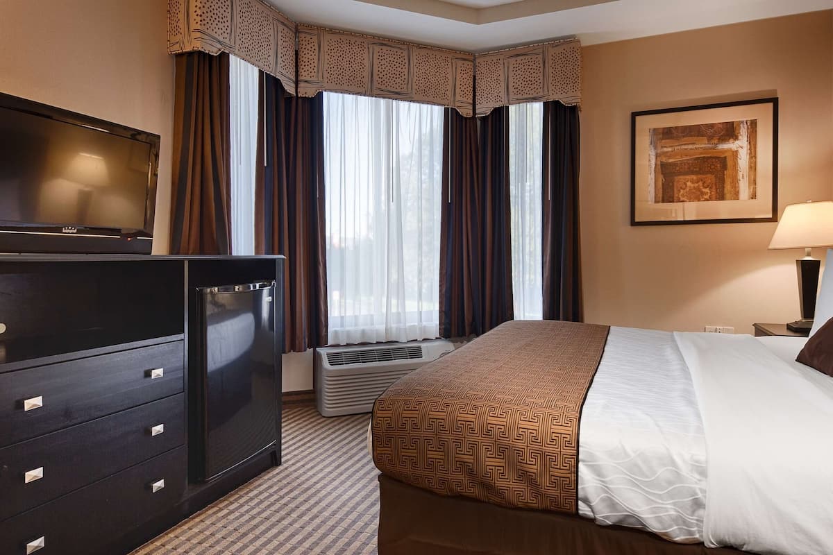 A hotel room with a bed, a TV, a dresser, a window with curtains, a wall-mounted painting, and a bedside lamp.
