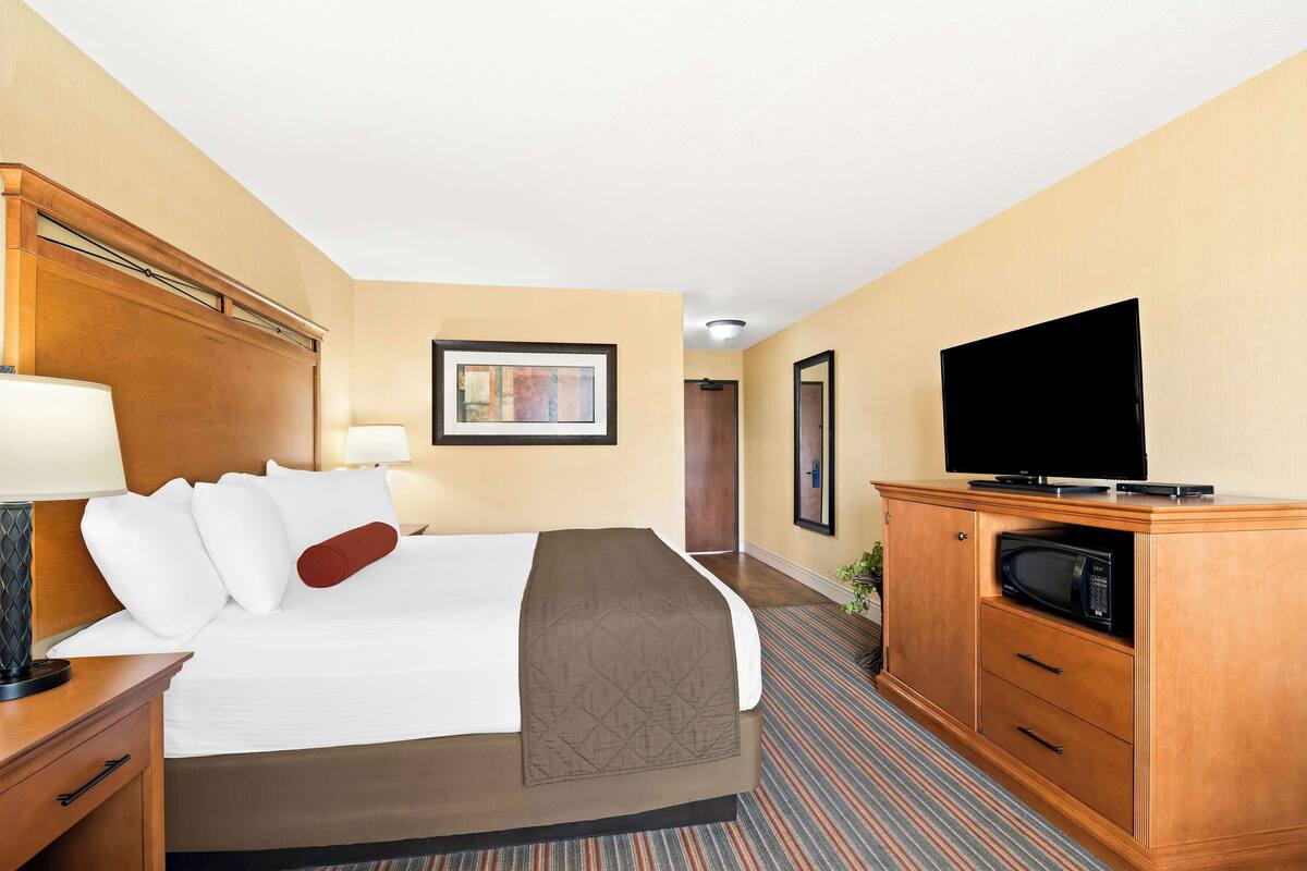 A hotel room with a bed, bedside table, lamp, television, and a microwave.