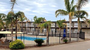 A hotel with a swimming pool, palm trees, and a fenced outdoor area. - Westland Hotel Motel (Whyalla Norrie)