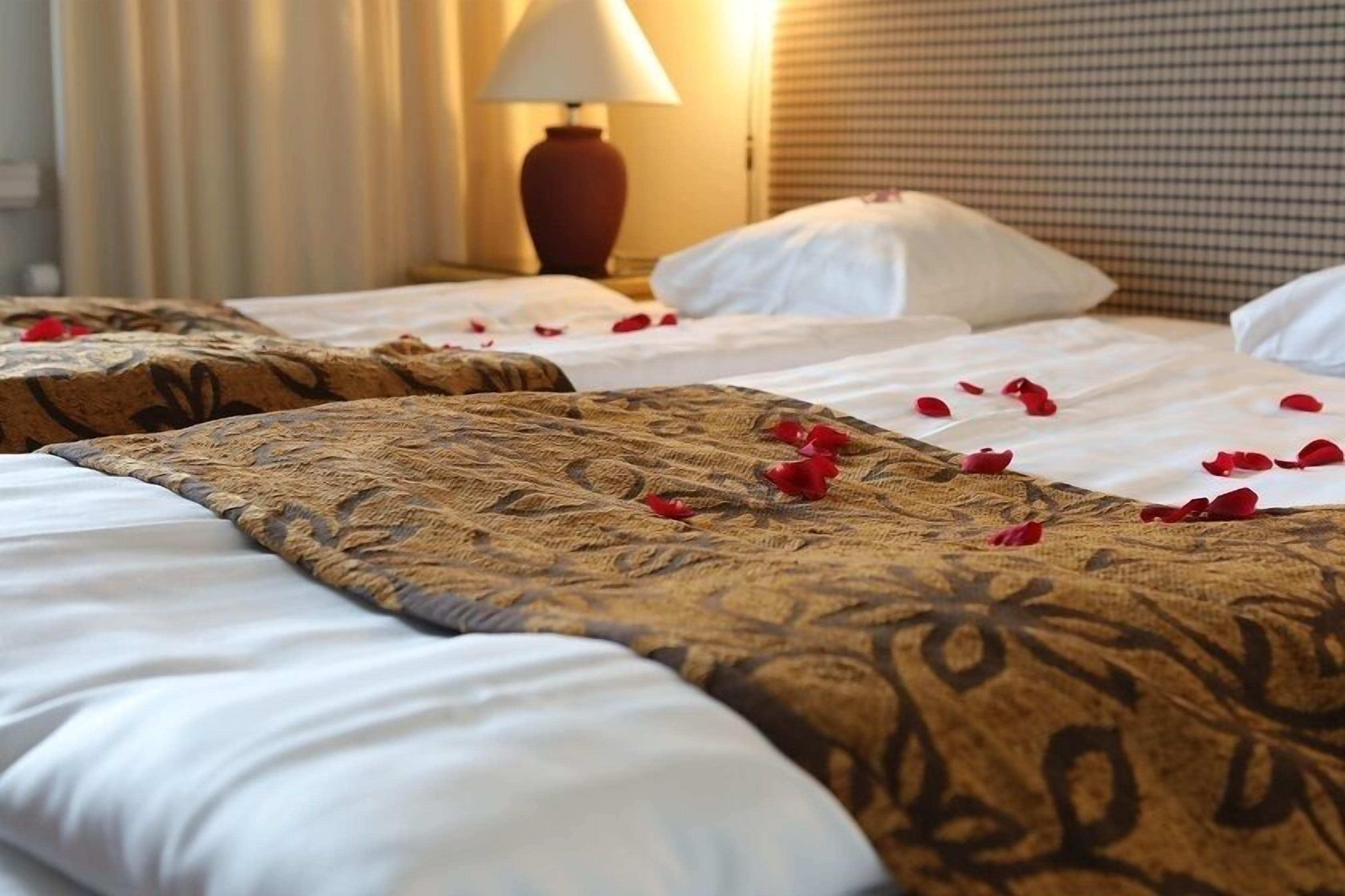 Habitación estándar con 2 camas individuales | Tabla de planchar con plancha, wifi gratis y ropa de cama 