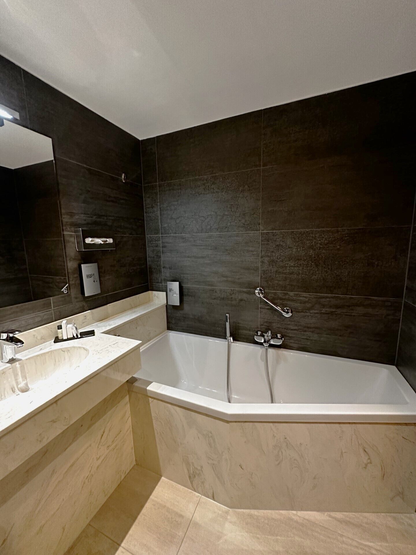 combined shower/bathtub, free toiletries, hair dryer, towels