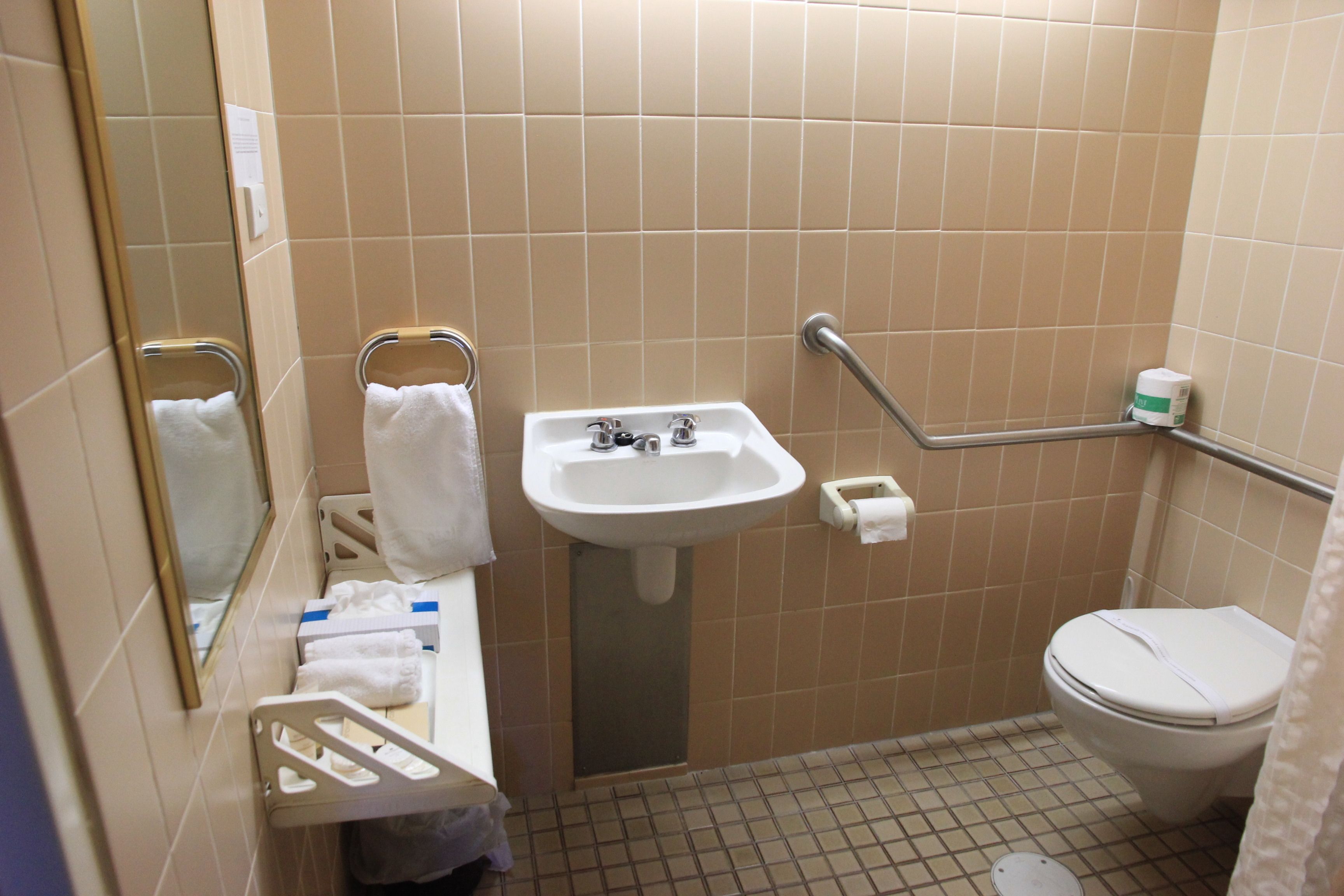 A small bathroom with a sink, toilet, and handrails.